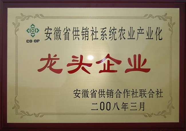 龍頭企業